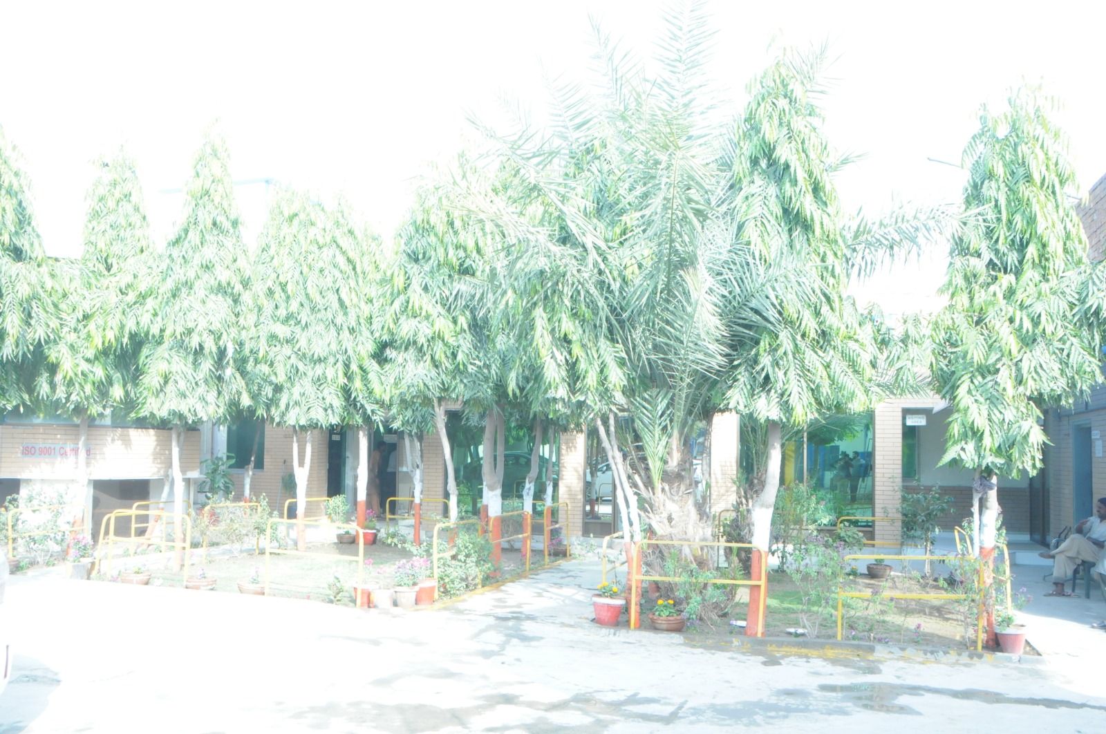 Factory grounds and landscaping